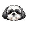 dearchelsea